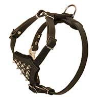 Small Dogs Leather Harness with Nickel Spikes