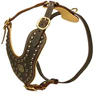 Studded Dog Harness - Royal Padded Leather Dog Harness