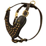 Leather Dog Harness with Studded Chest Plate
