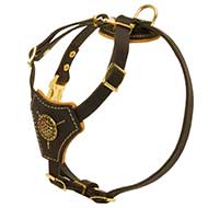 Walking Leather Dog Harness for Puppies and Small Breeds