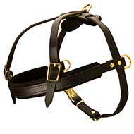 Wonderful leather dog harness for tracking and pulling