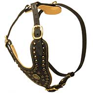 Royal Dog Harness Decorated with Brass Studs