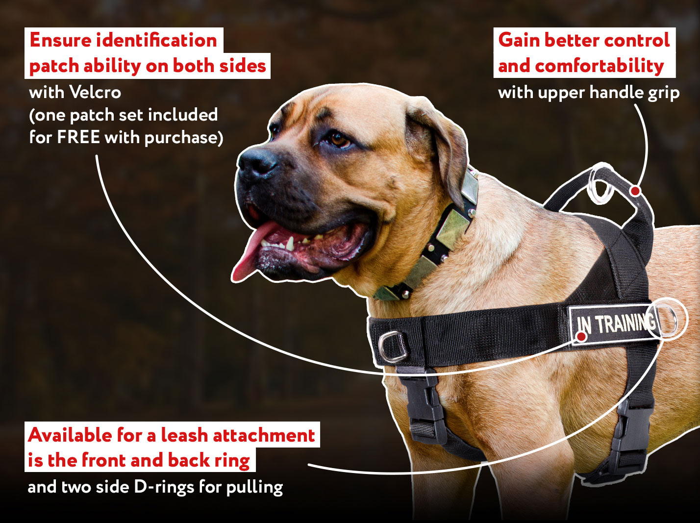 SAR Harness for All Breeds - Search&Rescue Nylon Dog Harness [H17##1092  Harness with id patches] : Custom dog harnesses for Pulling, Training,  Tracking, Walking