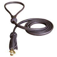 1/2 inch Leather Round Dog Leash for all dogs