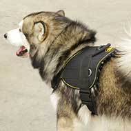 Siberian Husky Nylon Dog Harness for Pulling