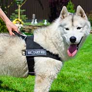 Multifunctional Nylon Siberian Husky Harness with ID Patches