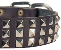 Silver Pyramid Leather Dog Collar for walking dogs