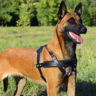 Tracking/Pulling Leather Dog Harness-Malinois harness