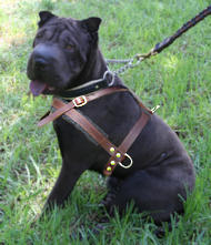Sharpei Pulling/Tracking Leather Dog Harness