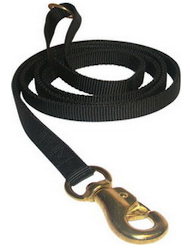 Have Tubular Nylon Waist Leads 6ft for all dogs