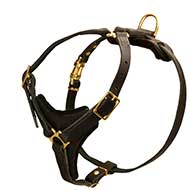 Medium Dog Harness - Control Leather Dog Harness For ALL BREEDS