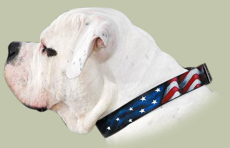 american flag collar