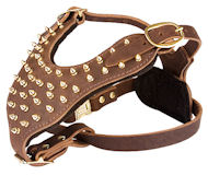 Handmade Leather Dog Harness with Brass Spikes