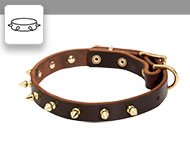 Spiked dog collars