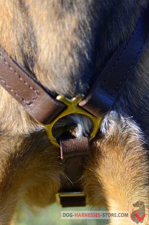 Dog Harness with Rust Proof Fittings