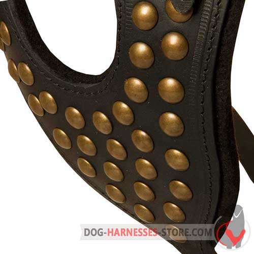 Designer studded leather dog harness