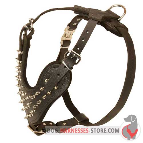 Designer leather spiked  harness for everyday walking with your dog