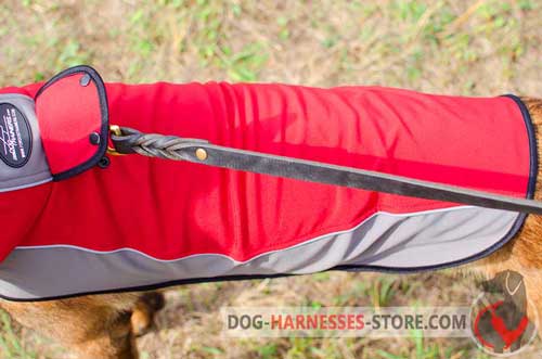 Adjustable Dog Coat with Hole for Leash Attachment