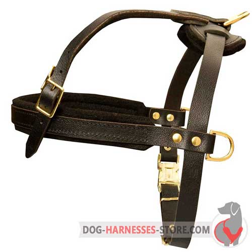 Strong leather dog harness for off leash training