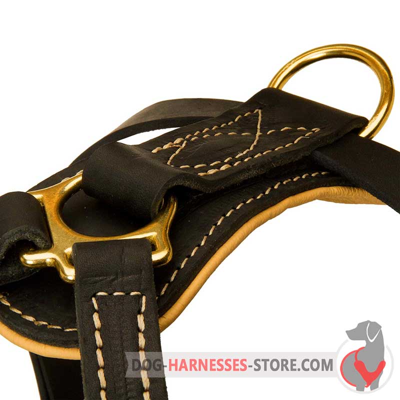 Designer Dog Harness OXFORD Designer Harness With Gold -  Denmark