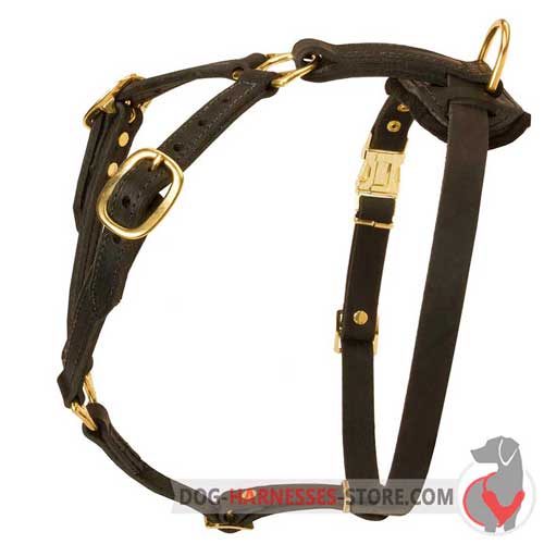Extra comfortable leather dog harness
