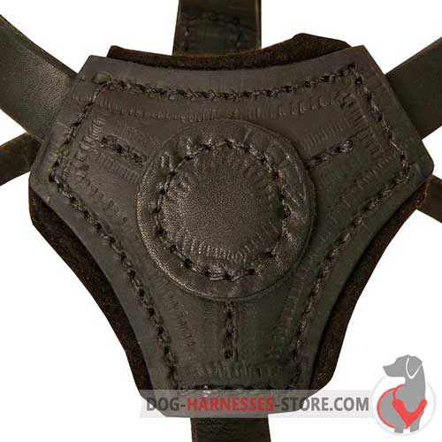 Softly padded leather dog harness