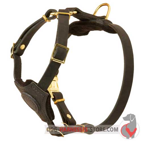 Adjustable leather dog harness for small breeds