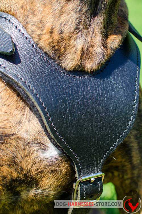 Padded Y-shaped chest plate for leather dog harness