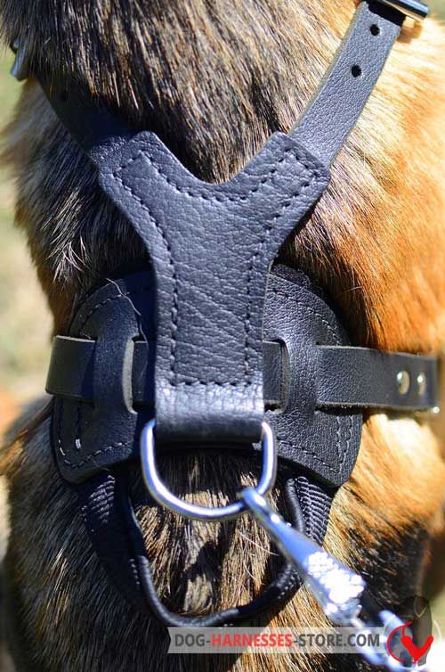 Tough D-ring for leather dog harness