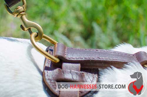 Leather dog harness with rust-proof fittings