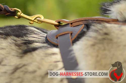Strong leather harness with D-ring