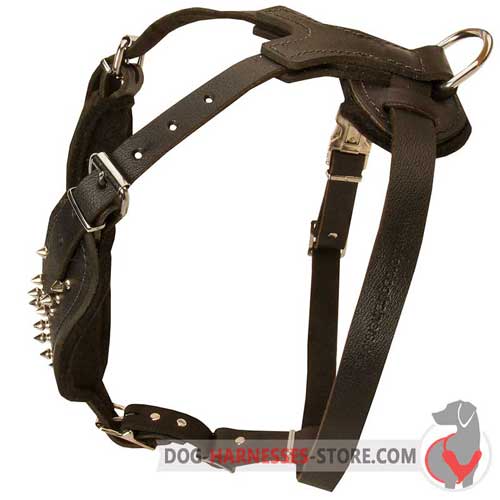 Easy to move dog harness with adjustable straps