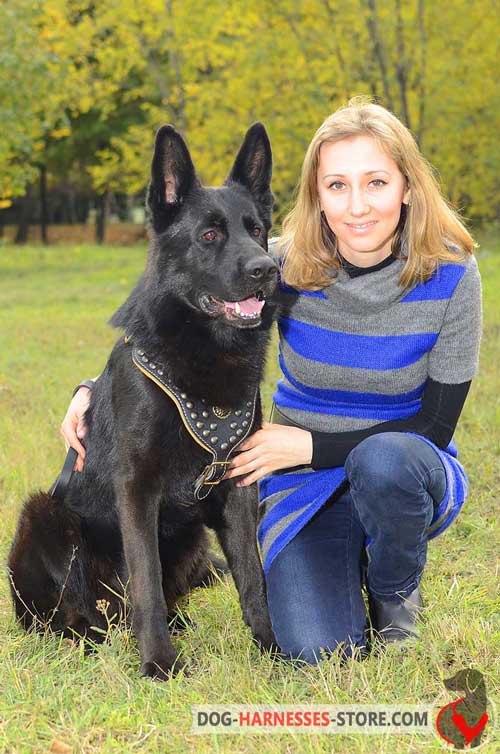 Leather Dog Harness for German Shepherd