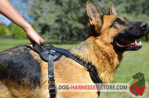 Leather German Shepherd harness with handle