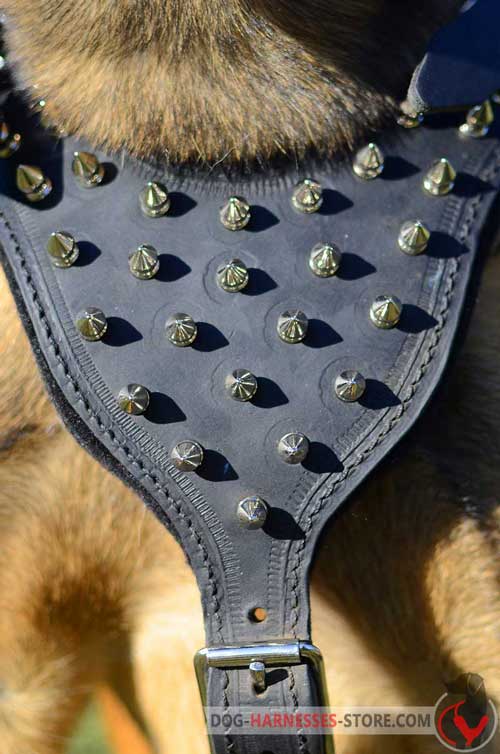 Spiked Leather Harness For Belgian Malinois