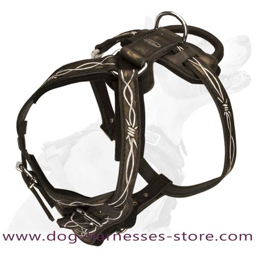Barbed Wire Leather Dog Harness Padded With Soft Thick  Felt