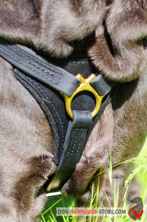 Leather Dog Harness Chest Plate with Adjustable Straps