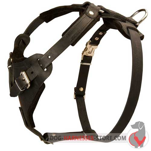 Leather Dog Harness Adjustable in Several Ways