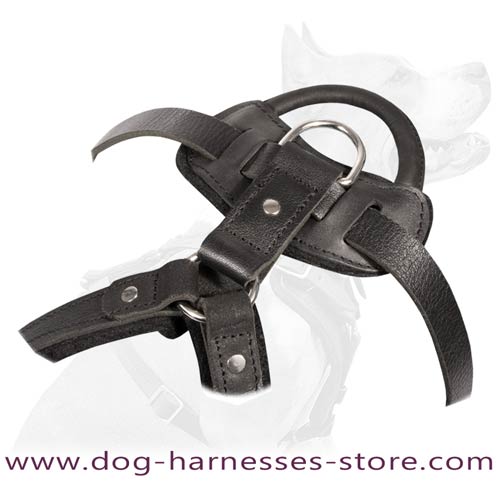 Riveted Leather Dog Harness With Comfortable Handle