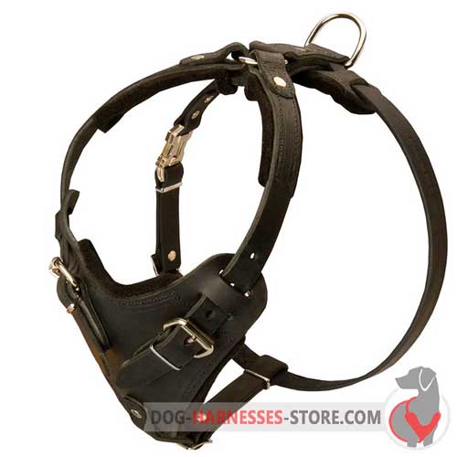 Securely Riveted Leather Dog Harness for Protection Training