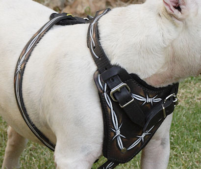 Comfortable Barbed Wire Leather Dog Harness