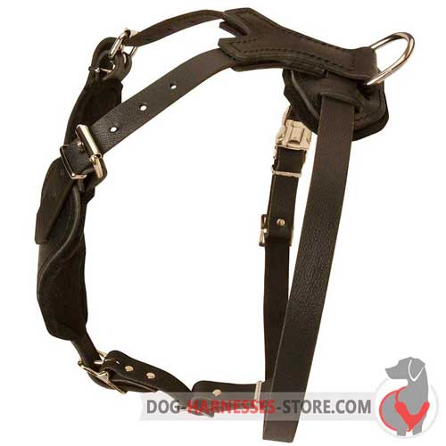 Leather Dog Harness with Soft Padded Breast Plate