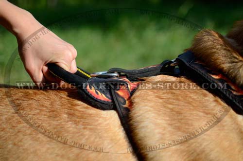 Painted Fire Flames Leather Dog Harness With Handle