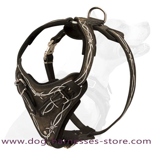 Unusual Design Leather Dog Harness Painted With White  Barbed Wire
