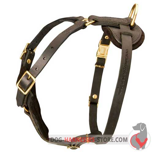 Leather Dog Harness Perfect For Tracking