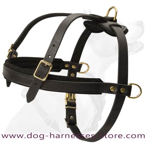 Professional Training Leather Dog Harness For Pulling  Sessions