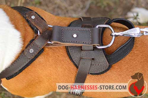 Classic Leather Dog Harness Ring on Back Plate