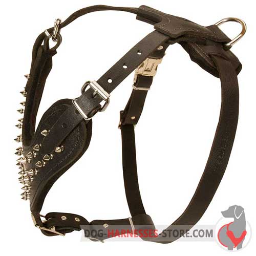 Safe Spiked Leather Harness for American Bulldog