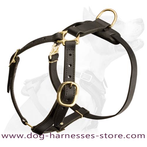 Ultra Light Weight Leather Harness For Active Dogs