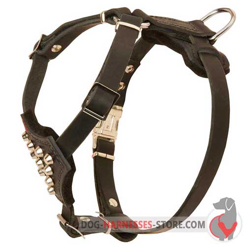 Studded Leather Dog Harness for Puppies and Small Breeds